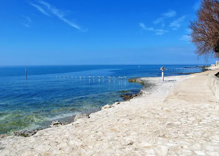 Jurica 4 Mit Terrasse By Interhome 아파트